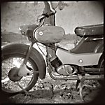 Holger - Simson Spatz