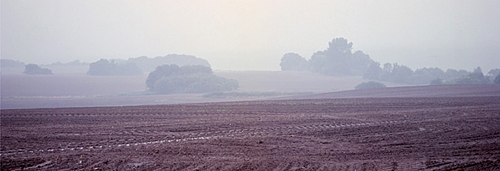 Rügen Nebel in Groß Stresow