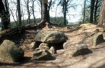 Rügen